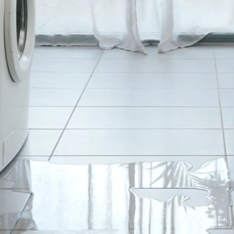 Appliance Leak Cleanup in Greene County, PA