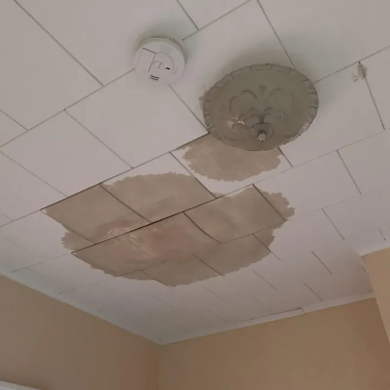 Ceiling Water Damage Repair in Greene County, PA