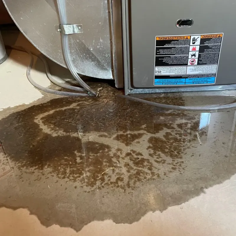 Pipe Burst and Leak Restoration in Greene County, PA