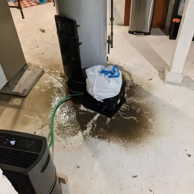 Sewage Backup Cleanup Service in Greene County, PA
